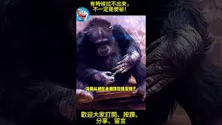 搞笑動物系列第1150集   有時候拉不出來，不一定是便祕！#animals #黃狗 #funny#猫之战 funny dog #dog #funny #funnydogs#大黑猩猩#搞笑配音 #搞笑
