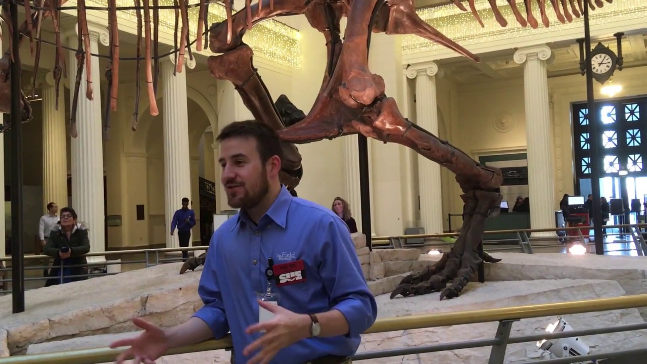 Sue (T. Rex) Talk at the Field Museum