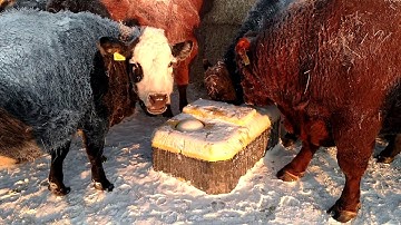 Tru Test WaterWell™ 2 in Action in Northern Michigan - part 2