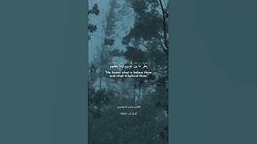 قران كريم ارح قلبك وسمعك #quran #yasseraldossary #قران #قران_كريم_ارح_سمعك_وقلبك @قران_في_دقيقة