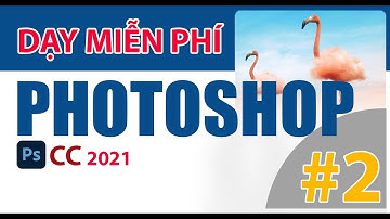 Dạy miễn phí Photoshop CC 2021 - Bài 2: công cụ tạo vùng chọn, cắt ghép layer cơ bản