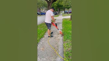 Tự cắt cỏ vườn nhà ở Mỹ tiết kiệm được $30 #shorts #cuocsongmy #gardening