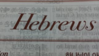 Hebrews 10, niv bible