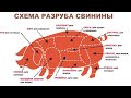 🔪🐷 Разруб свинины (Выгодный). meat cutting, meat, butcher, 肉,切肉,屠夫,猪肉,牛肉,羊肉,鸡,係食物呀！