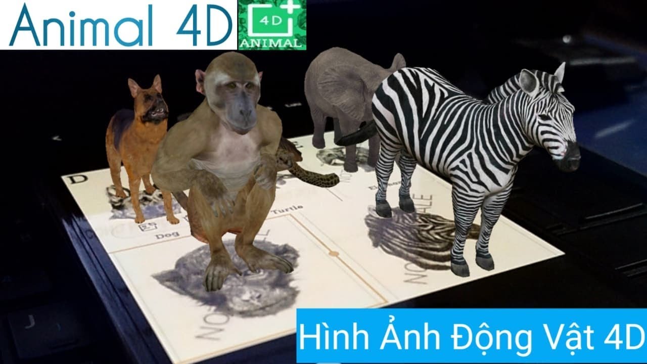ANIMAL 4D I V n Th 4D 400 nh Animal Cards I H ng D n C i t V 