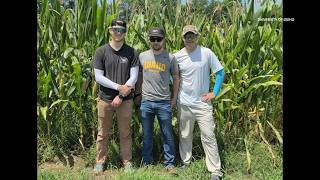 University of Idaho receives $6M grant to breed stronger cereal crops