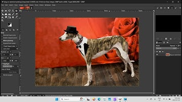 gimp editing video 2 changing background by using copy visible and paste as new layer