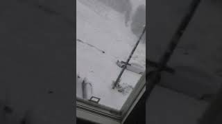 Outside my window check