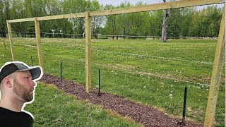 Make Your Own Grape Vine Trellis In Just A Few Simple Steps!
