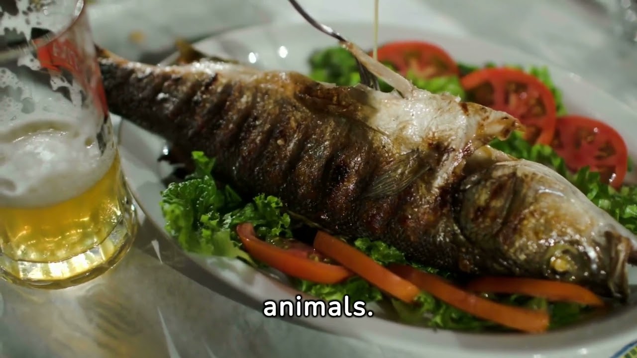 animal ingenuity problem solvers of the wild 