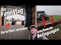 War das jetzt gut oder eher kontraproduktiv? Rollhacke im Regen - Kartoffeln laden im Akkord/Vlog 78