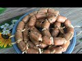 COMO HACER CHORIZOS SALVADOREÑOS