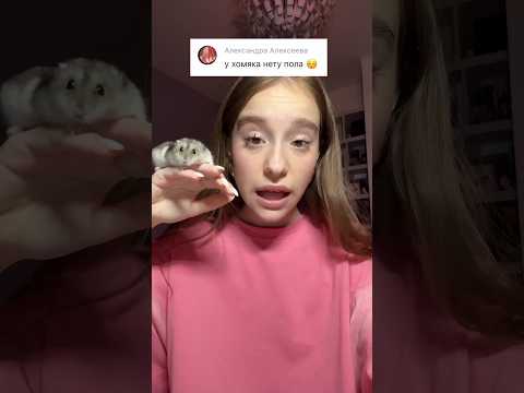 провалили тест‼️ ответы в моем тг «хей! это марьяна!» #шортс #марьяналокель #юмор
