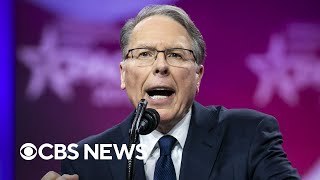 Celebrity NRA, former CEO Wayne LaPierre found liable in civil corruption trial | full coverage Net Worth