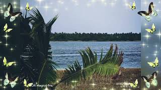 PMH Tour to Nanumea Island - 7/6/2024