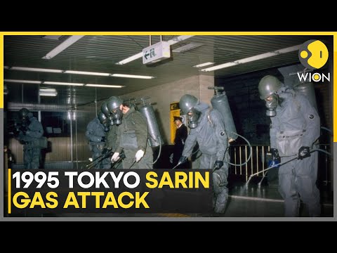ＹＥＬＬＯＷＳ　ＭＥＮ　ＴＯＫＹＯ　１９９５ 41AqENPQvoL._UF350,350_QL80_.jpg