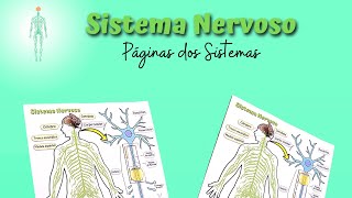 Nervous Systems Pages screenshot 5