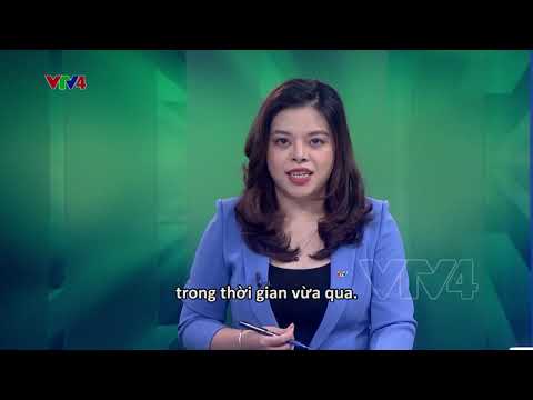 Video Tận dụng cơ hội EVFTA và kết hợp thương mại điện tử... - youtube