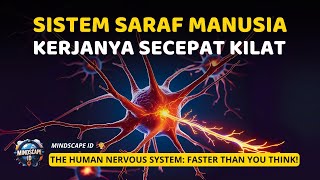 RAHASIA SISTEM SARAF MANUSIA: Gerak Refleks vs Gerak Sadar!| MindScape ID