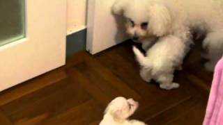 SANY1302.MP4