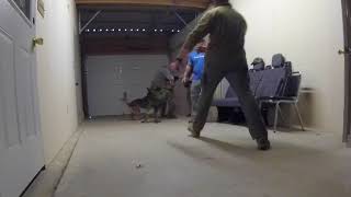 Dual K9