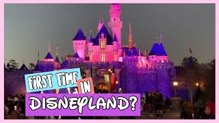 Disneyland tour 2020 | anaheim ...