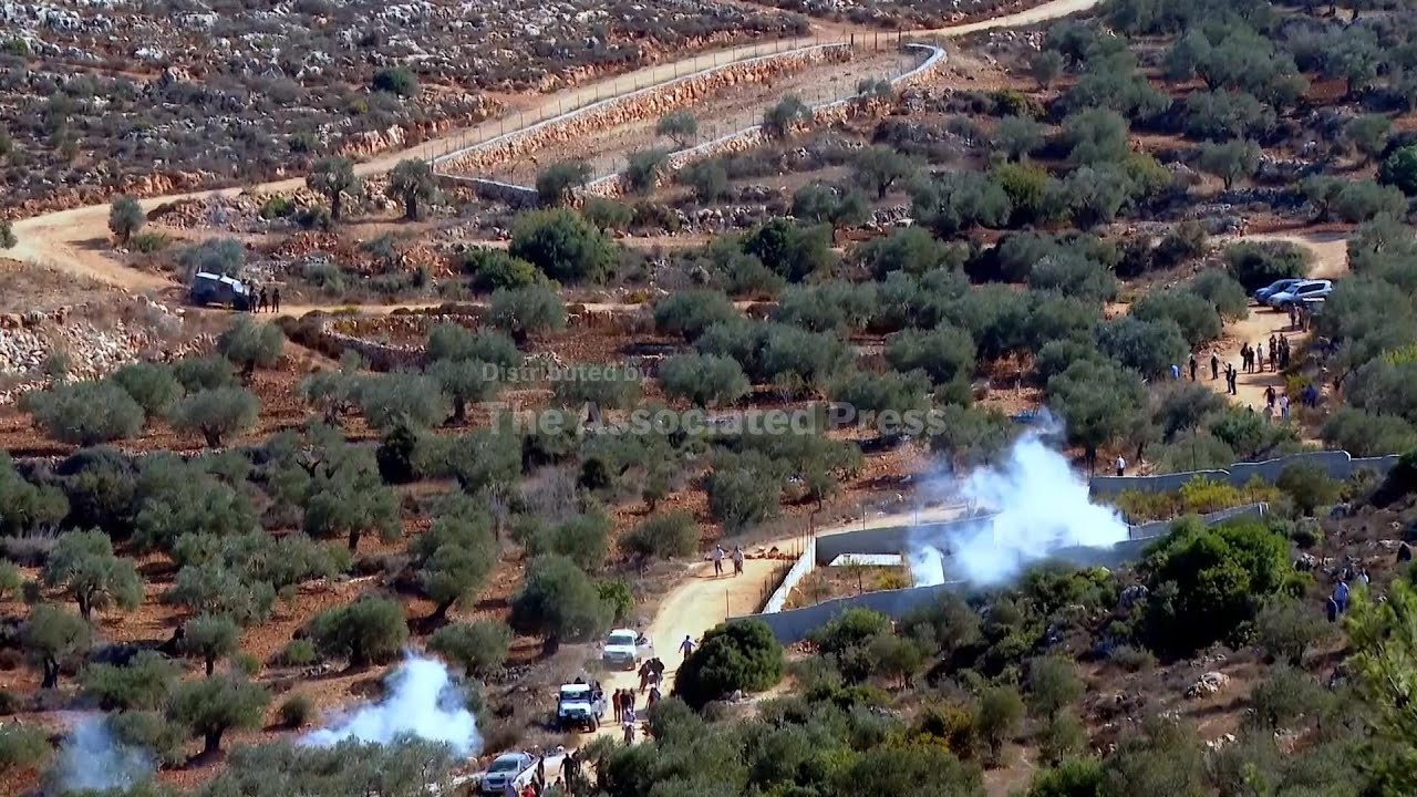 Israeli army disperses activists assisting farmers in West Bank olive harvest