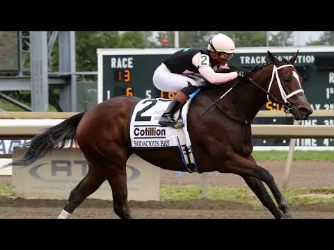 2026 Cotillion Stakes (G1) | BODACIOUS BAY