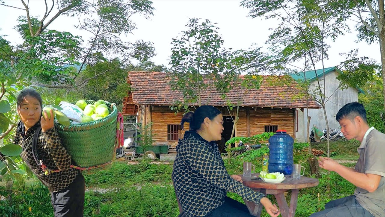 NHAT took the opportunity to pick guava to sell. KONG quickly installed the facade of the house