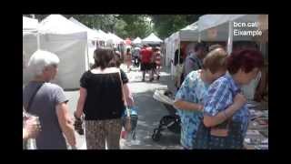 Festa Major Dreta Eixample 2013