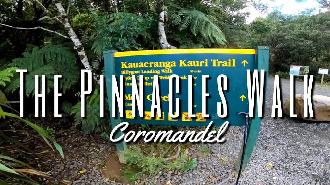 RooWanders | The Pinnacles Walk | Coromandel