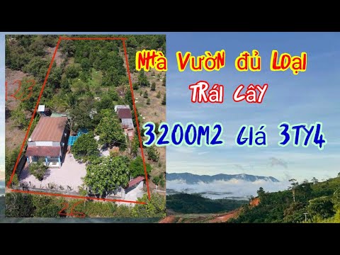 Video ✅Td338 Nhà vườn Đủ loại trái cây 3200m2 giá 3ty4 dọn... - youtube