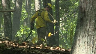 Fire danger 'very high' in most of Maine; crews battling fires across state