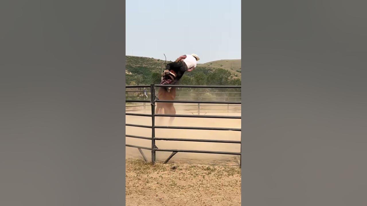 I never claimed to be more cowboy than anyone, but I bet I can stay on a colt better than commenters