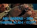 SNORKELLING MARSA ALAM - ABU DABBAB - Christmas 2014 (PART 5)
