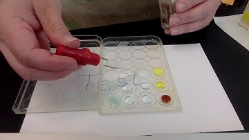 Pre AP Chem Video Lab  Precipitates