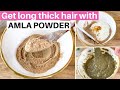 3 Ways to use Amla for hair growth, thickness, and curl definition!