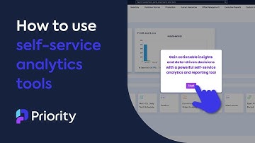 How to use self-service analytics in Priority ERP | Step-by-step data insights for Priority users