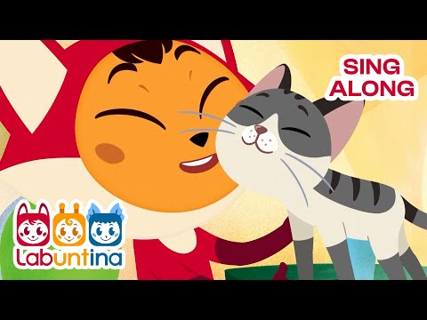 Dear Pet Fun Responsibilities For Kids Labuntina 9 Story Sing Dance