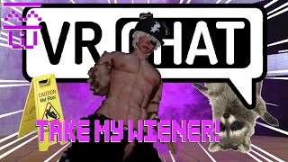 trolling vrchat players as a raccoon