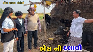 ભેંસ ની દલાલી | bhes ni dlali | Gujrat Comedy Video | Tihlo & Pako Don Comedy | Bhobo Funny