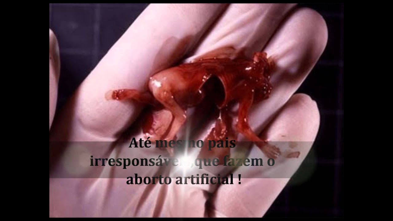 Gravidez e aborto - YouTube