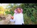 من نباتات وادي حزنة ببلجرشي العقش الخلص تعليقات د أحمد قشاش