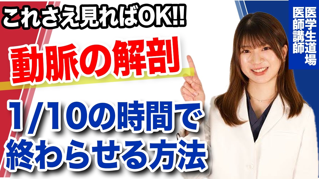 【初級編】動脈の解剖、まずはこれ見てから勉強してください！ — Transcript