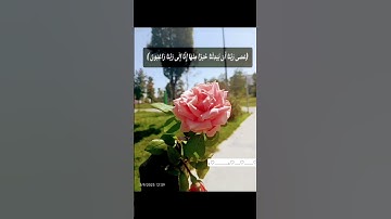 #تلاوة_خاشعة #اكسبلور #لايك #قرآن #ماهر_المعيقلي #راحة_نفسية #purane #oração #keşfet #islam