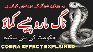 Why Quick Fixes Fail: The Cobra Effect & Your Blood Sugar