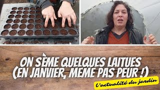 👩‍🌾 Je sème les premières laitues de la saison