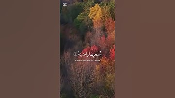 القران الكريم سورة الغاشية