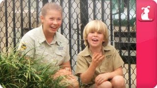 Bindi \& Robert Irwin feature huge salt-water crocodile - Growing Up Wild