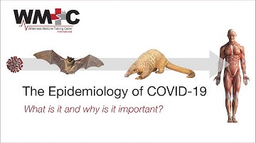 COVID 19 video Part 1 Epidemiology